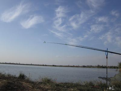 Прикрепленное изображение: IMG_0306.JPG